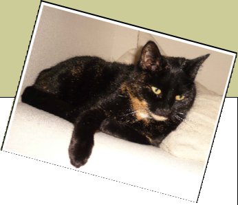 Bild : Schneewittchen